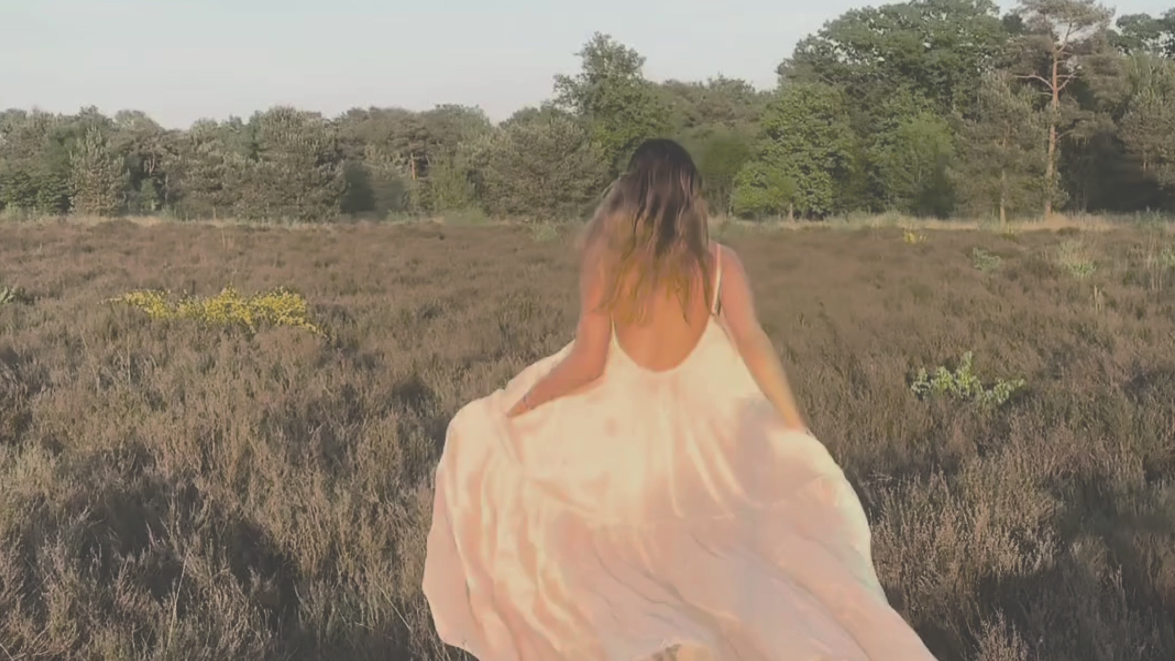 Video laden: 